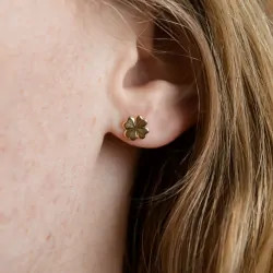 Pendientes de trébol